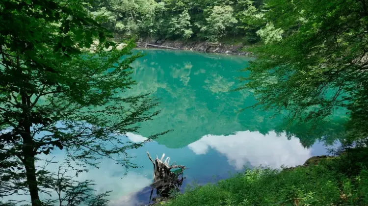 日光のお土産選びで気を付けたい3つのこと