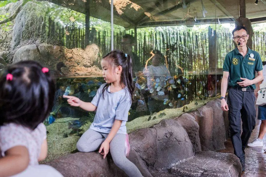 River Wonders attractions