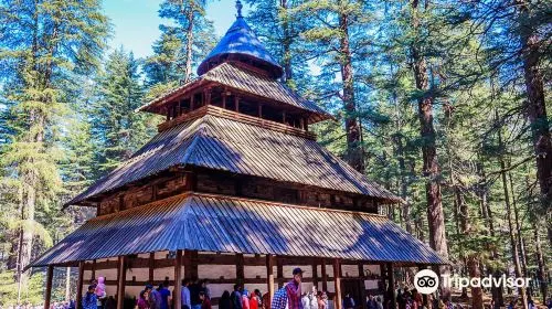 cost for sightseeing when traveling to Manali