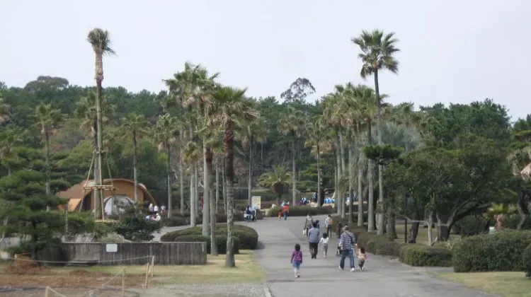 宮崎市フェニックス自然動物園