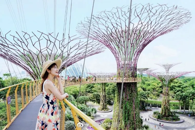 What to See and Do at Gardens By the Bay