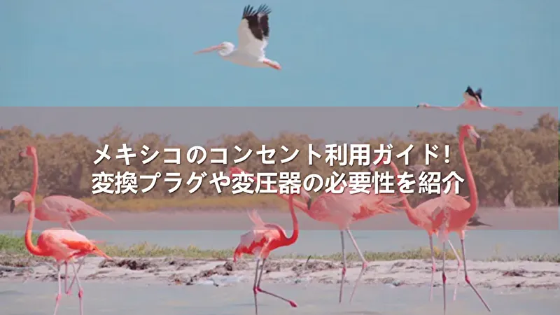 メキシコ コンセント