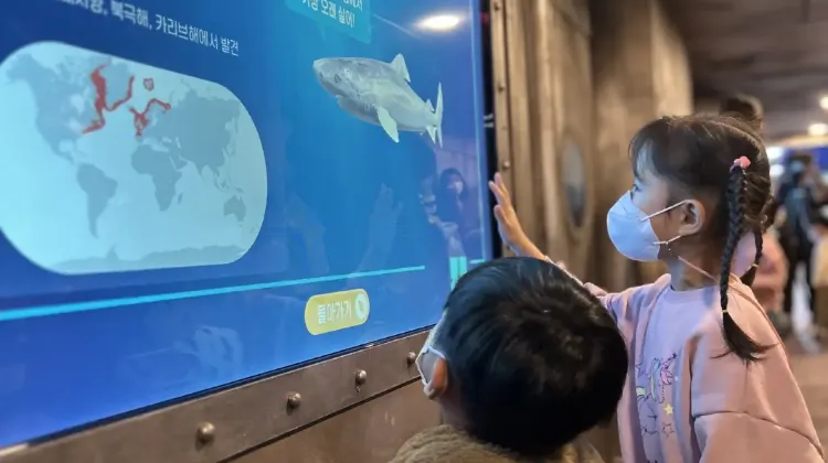 シーライフ釜山アクアリウムで便利なアイテム3つ