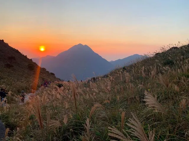 大東山必做三件事 | 日出、日落