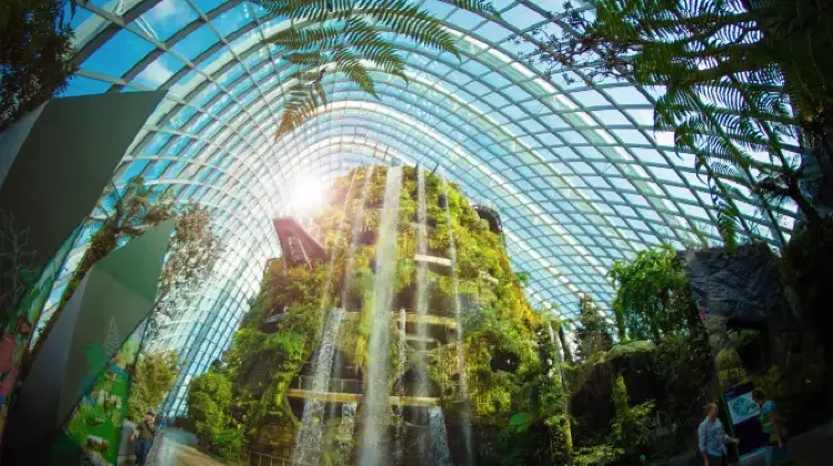Best Things to do in Singapore