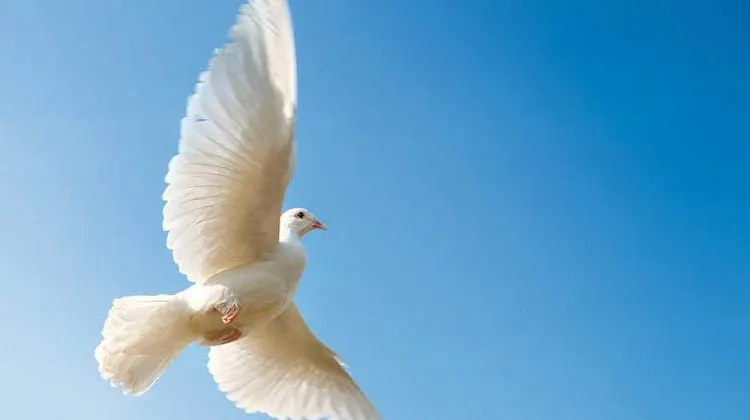 France Holiday Calendar 2026 – Whit Monday (Lundi de Pentecôte)