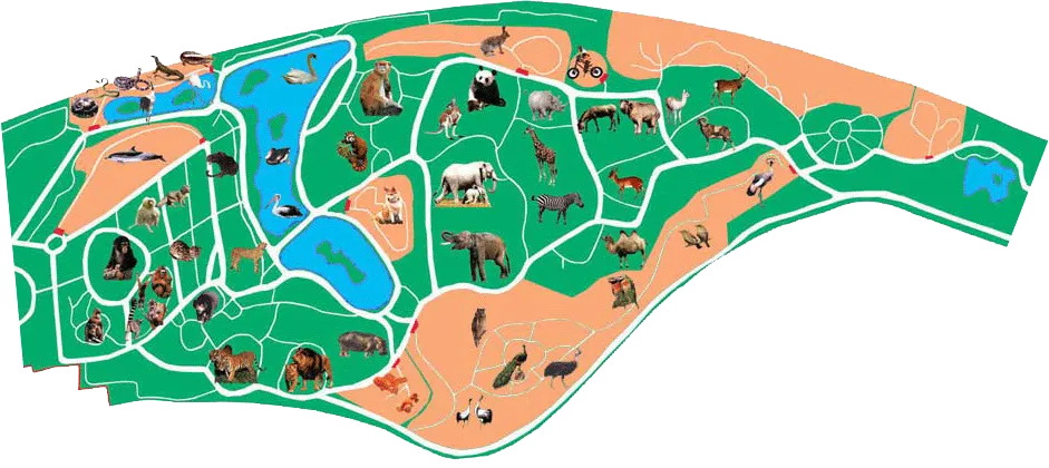 Guangzhou Zoo Map & Routes