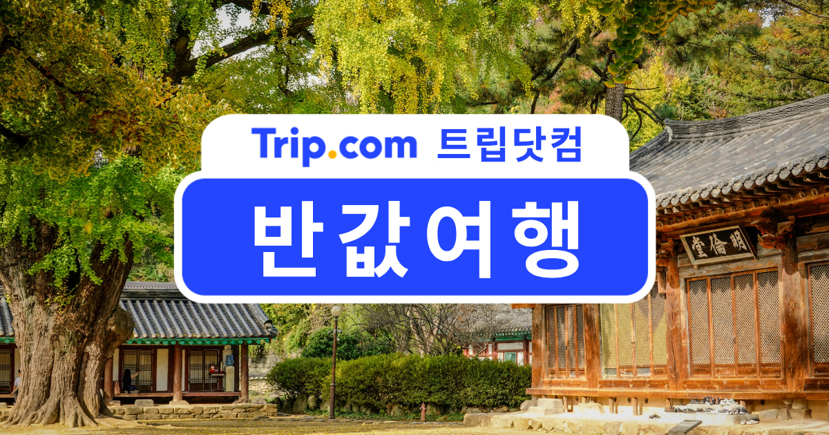 반값여행으로 떠나는 국내 여행: 신청방법부터 지역별 추천까지 | 트립닷컴