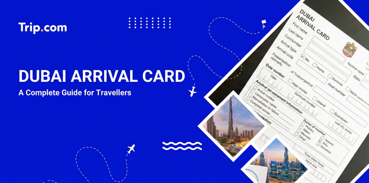 Dubai Arrival Card