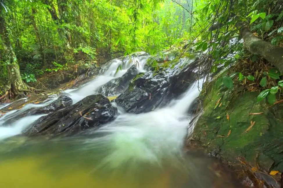 Kuala Selangor Nature Park