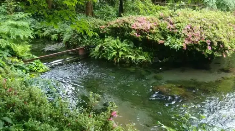 白川水源