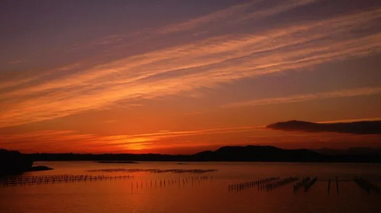 浜松旅行はひとり旅こそおもしろい！