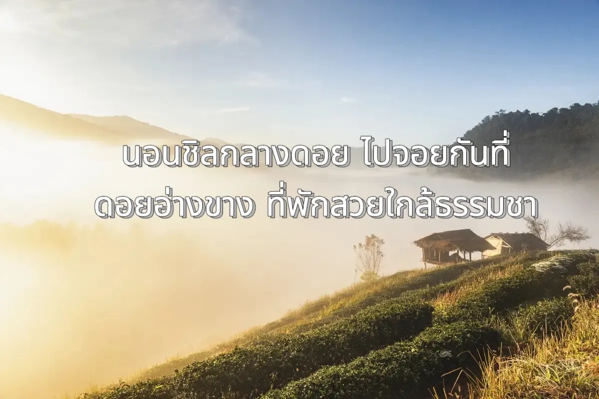 นอนชิลกลางดอย ไปจอยกันที่ ดอยอ่างขาง ที่พักสวยใกล้ธรรมชาติ