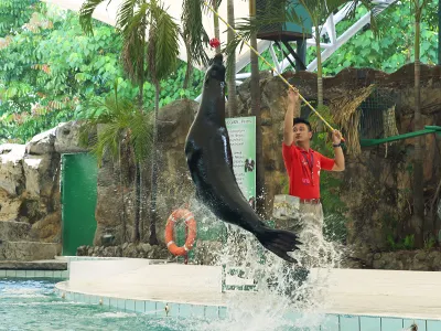 Tonton pertunjukan haiwan