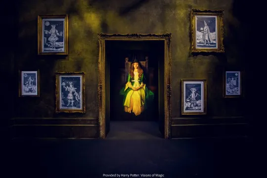Things to do at Harry Potter: Visions of Magic - Uncover hidden magic in evocative art installations