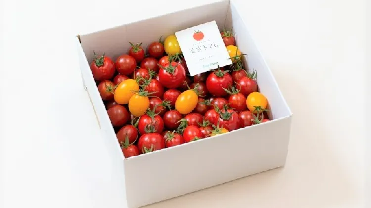 ドロップファームの美容トマト®