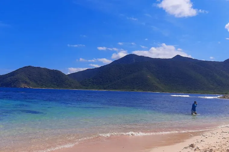 ブラジル旅行の費用