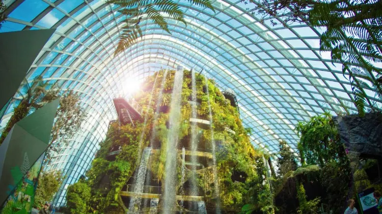 Things to do at Gardens by the Bay