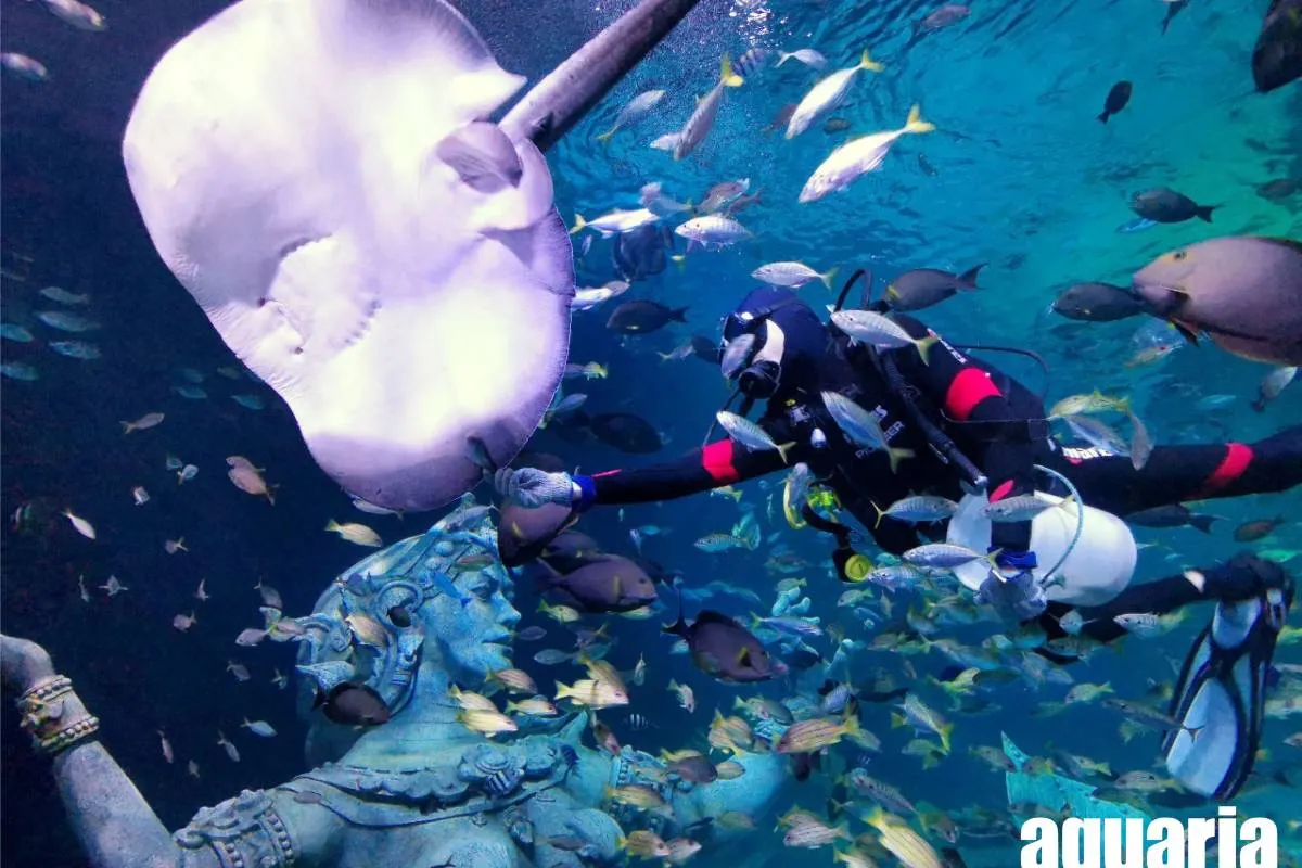 อควาเรีย ภูเก็ต Aquaria Phuket