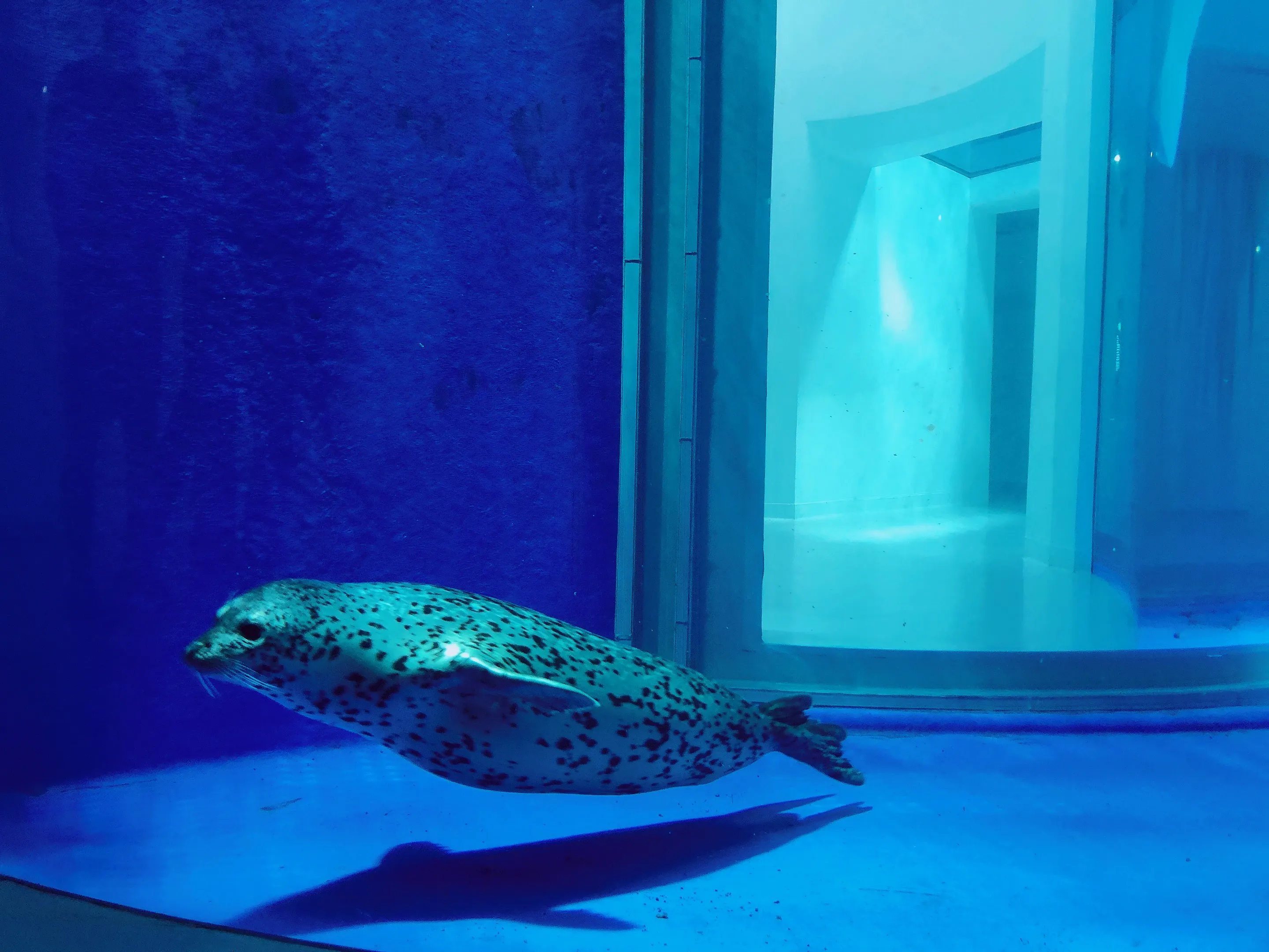 Xpark 水族館展區