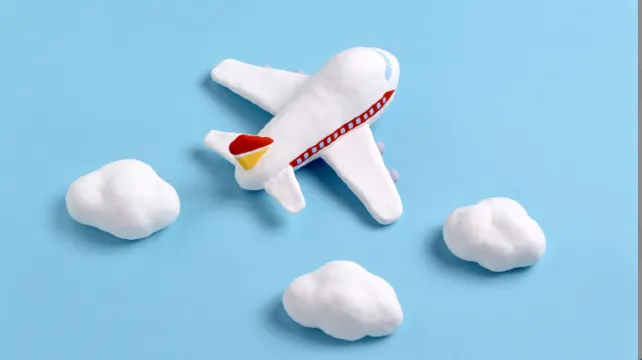 What Information Can I Change on Trip.com Flights?