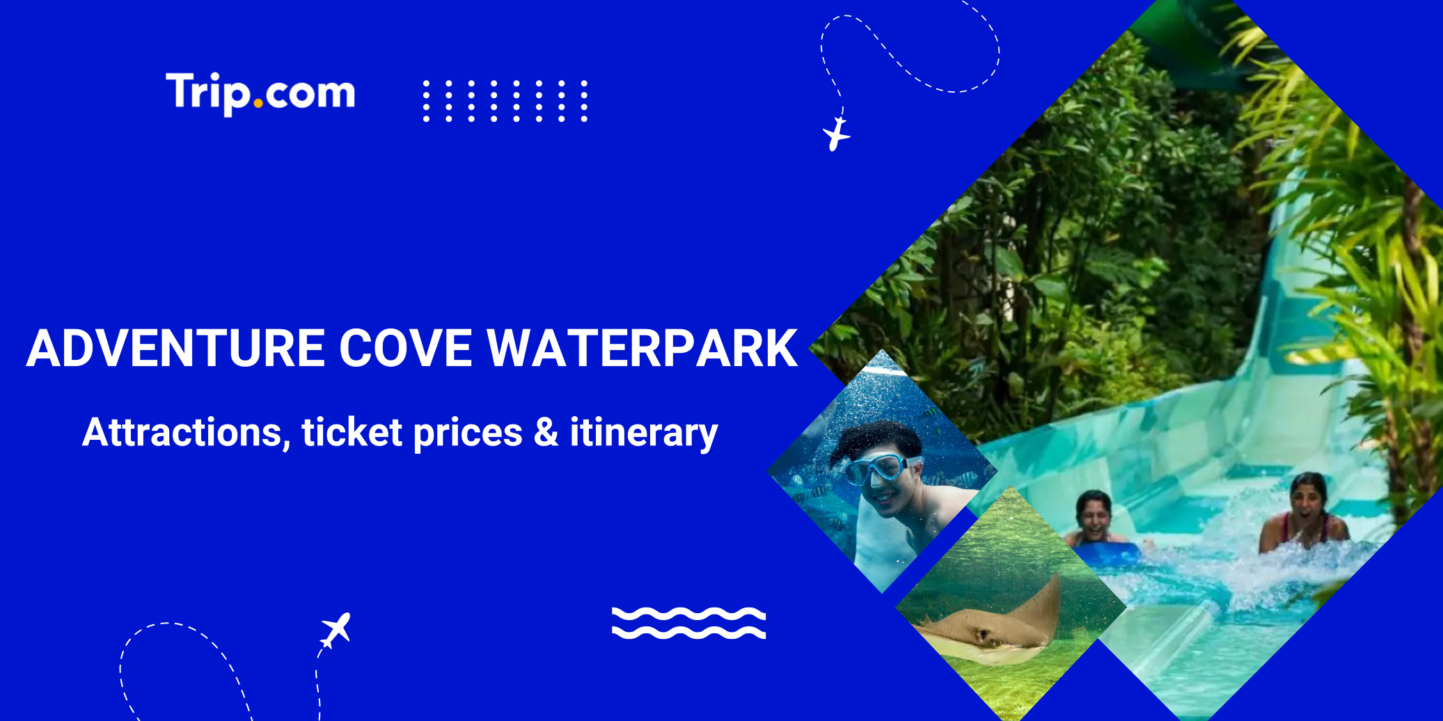 Adventure Cove Waterpark Guide: Tickets, Rides, & Tips | Trip.com