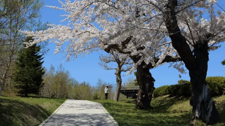 女子ひとり旅の函館旅行で注意するべき3つのこと