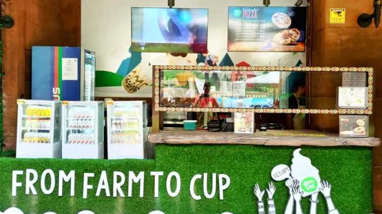 Jom Chá by Farm Fresh