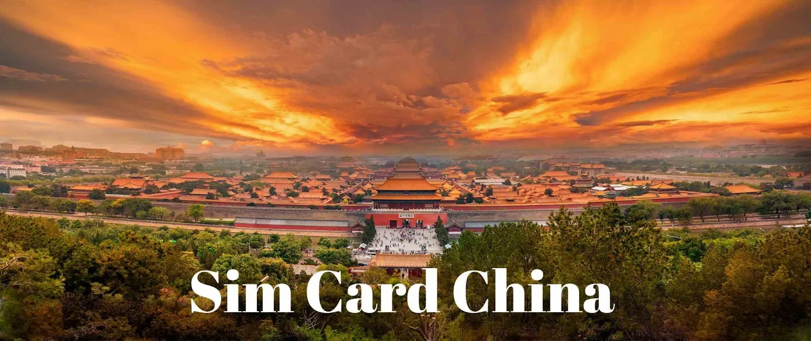 Panduan Penggunaan Sim Card China-Trip.com