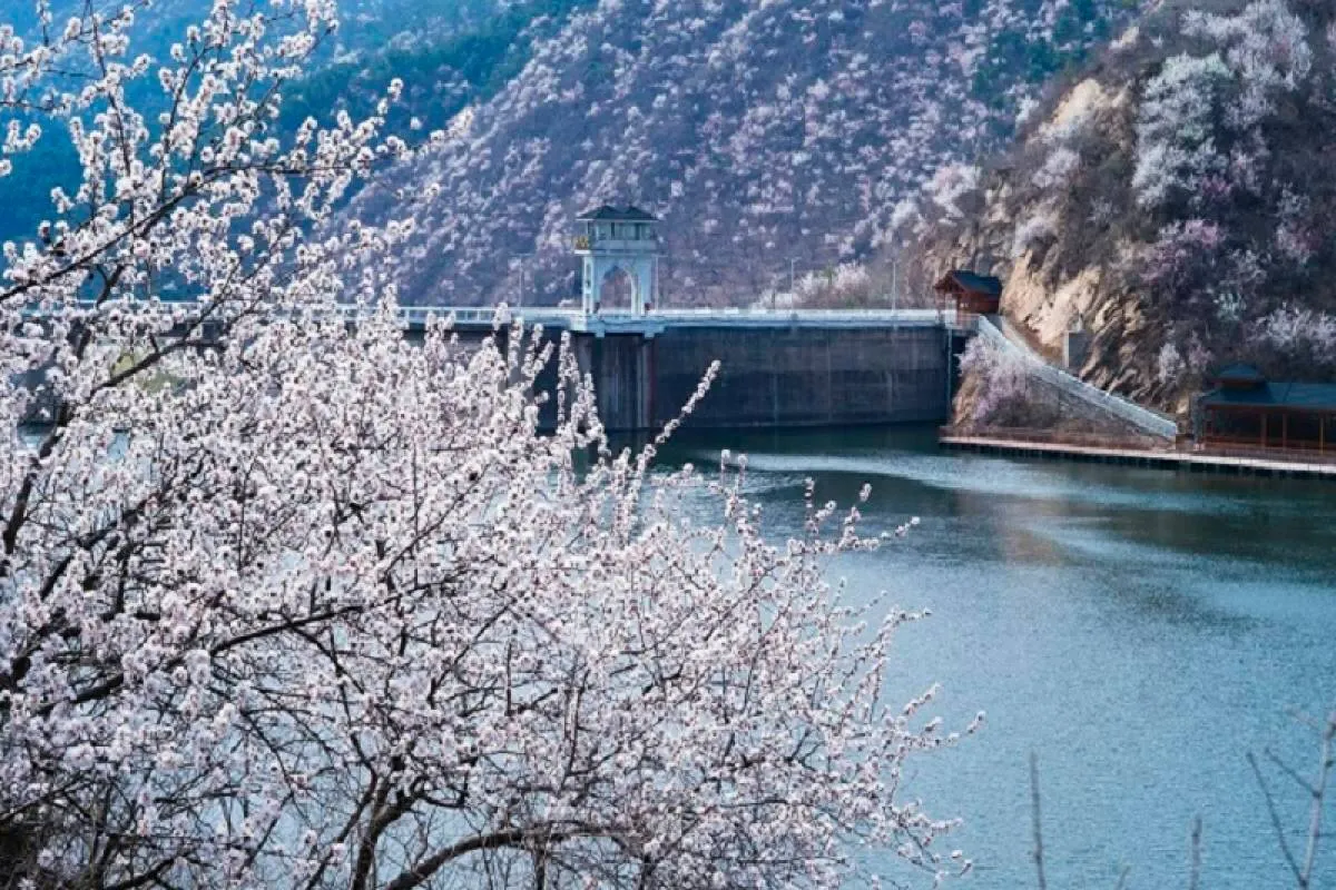Huanghuacheng - The Lake View
