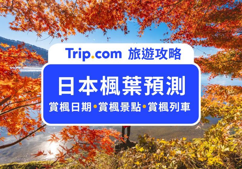 【2026 日本楓葉預測】日本賞楓什麼時候開始？搭小火車賞楓＋日本全國賞楓景點推薦 | Trip.com