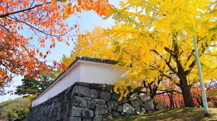 「センスがいい」と言われる福岡土産の選び方