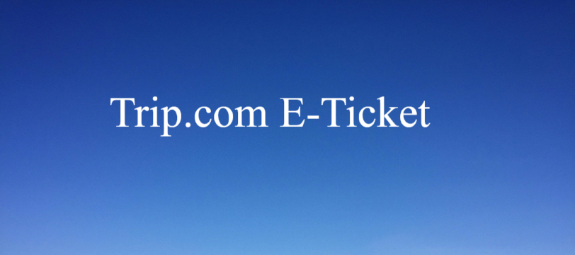 So erhalten Sie Ihr Flug-E-Ticket bei Trip.com