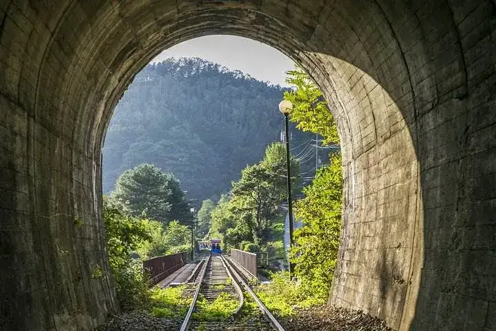 腳踏自行車欣賞沿途優美的風光