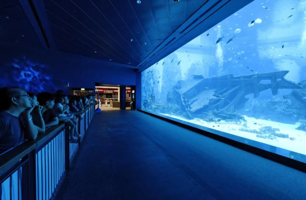 พิพิธภัณฑ์สัตว์น้ำ ซี อควาเรียม S.E.A. Aquarium