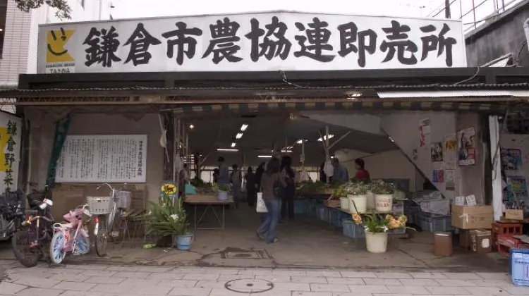 鎌倉市農協連即売所
