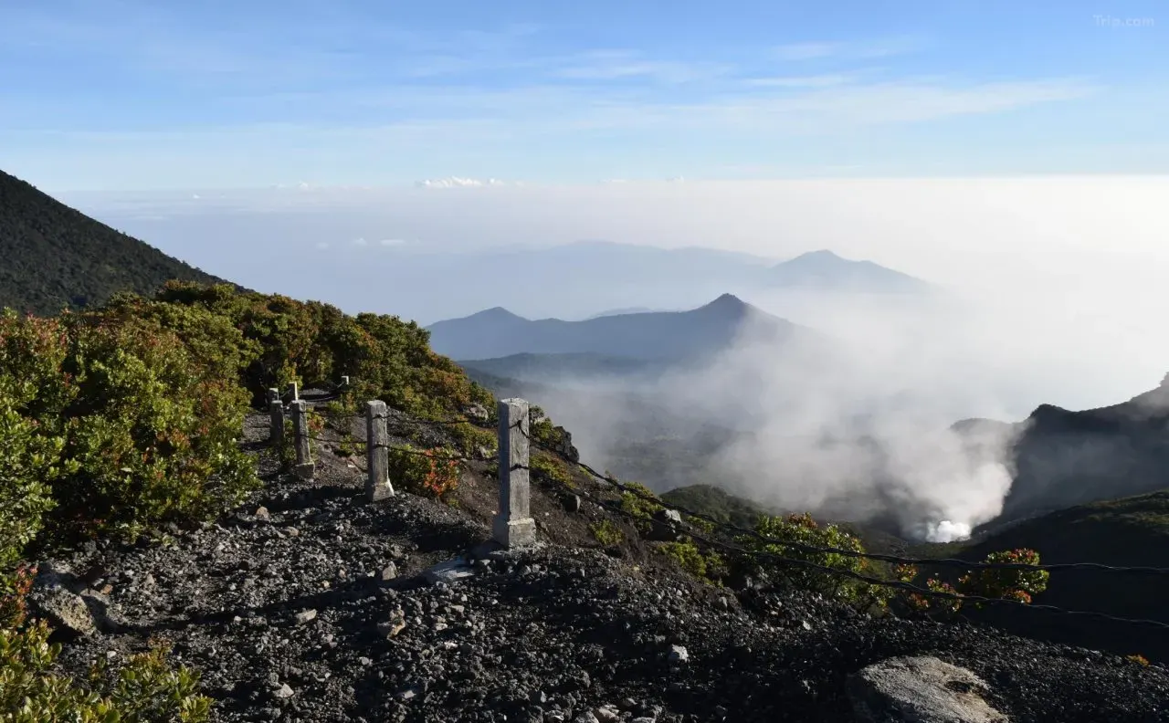 Tempat Wisata di Cianjur-Taman Nasional Gunung Gede Pangrango