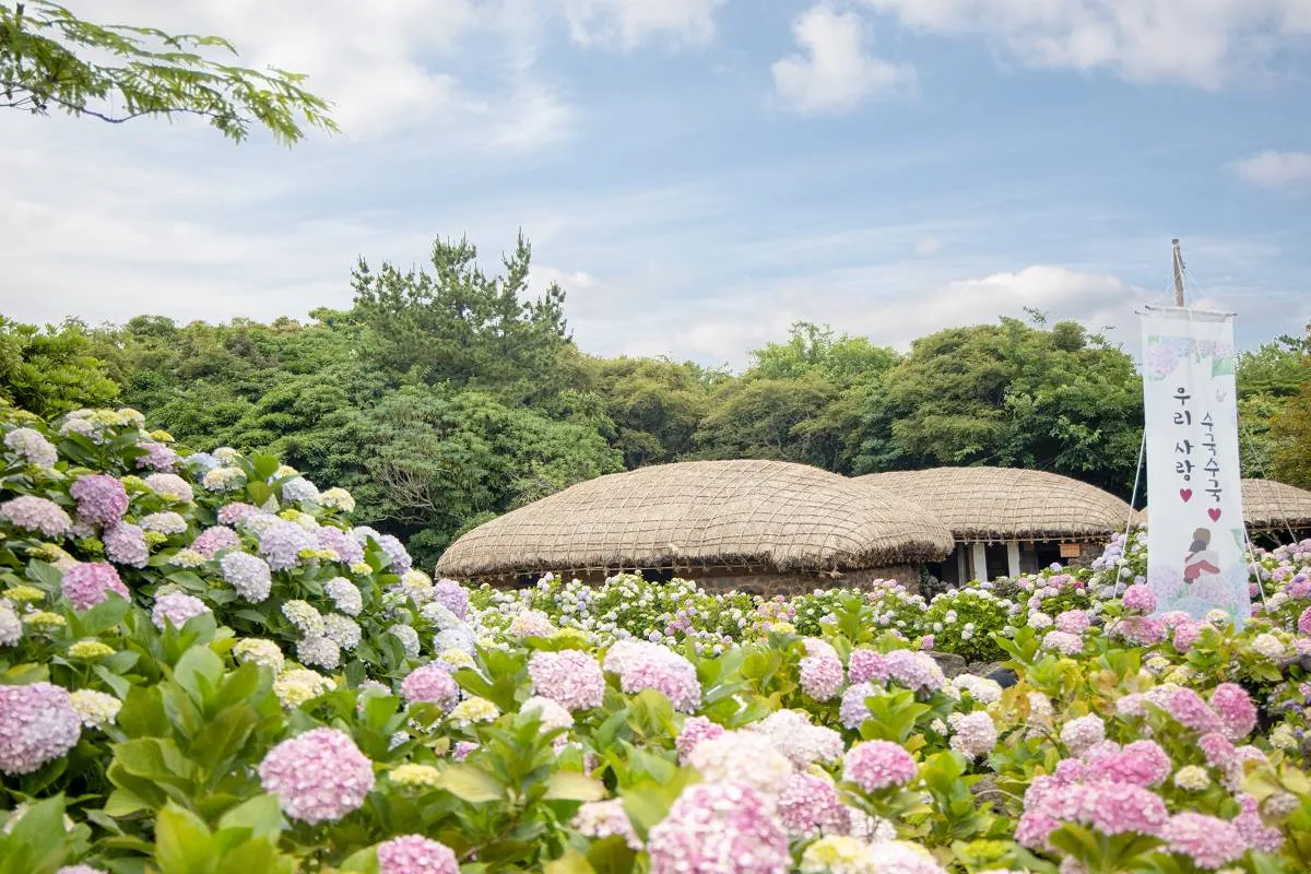 제주도 2 박 3 일 여행 코스