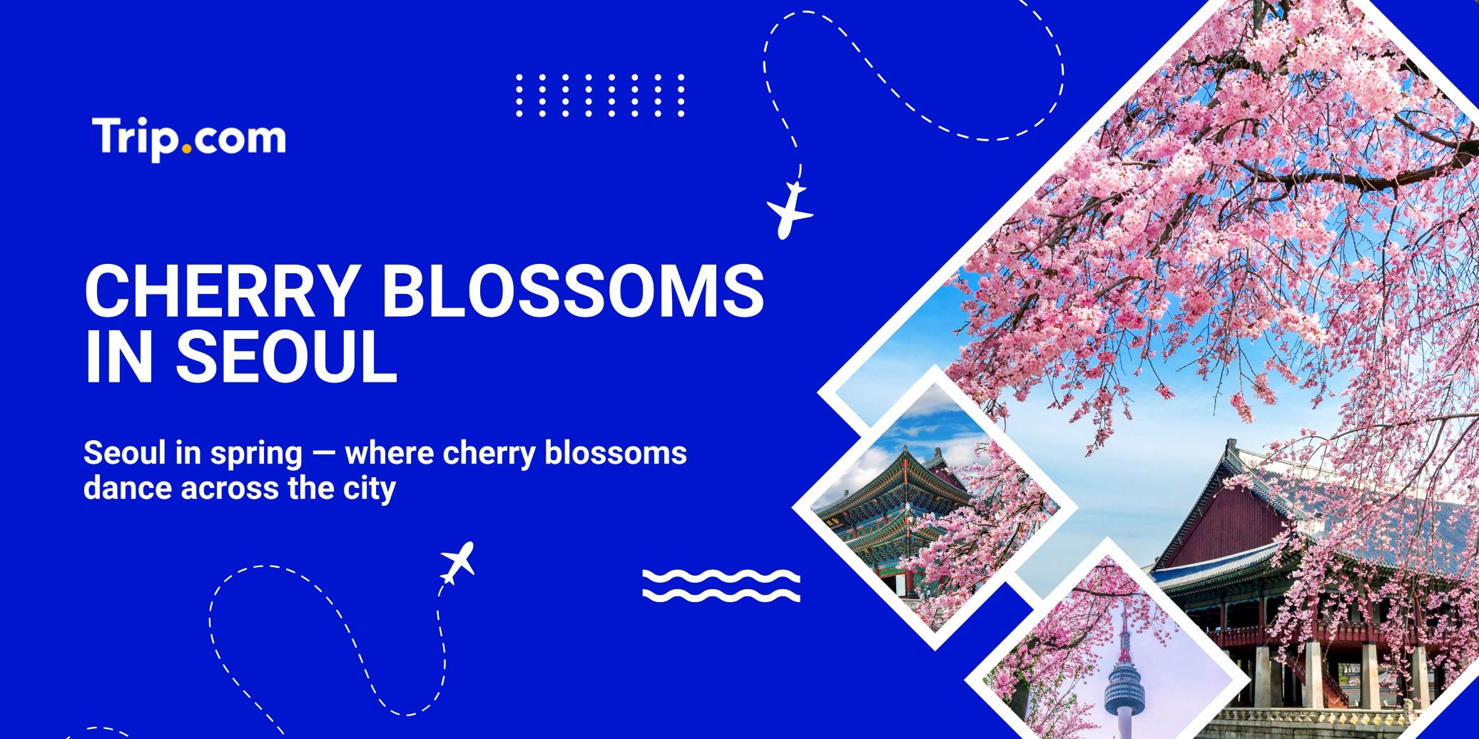 Where to See Cherry Blossom in Seoul 2026 | Trip.com