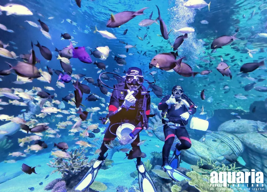 อควาเรีย ภูเก็ต