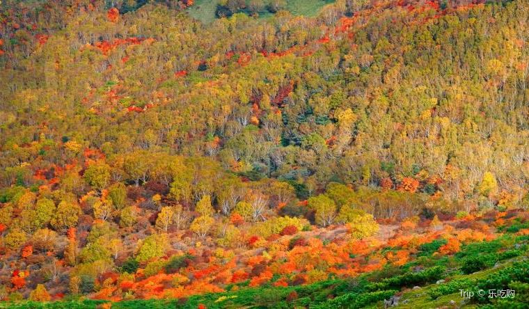 【那須高原】紅葉の見頃は10月上旬~11月上旬