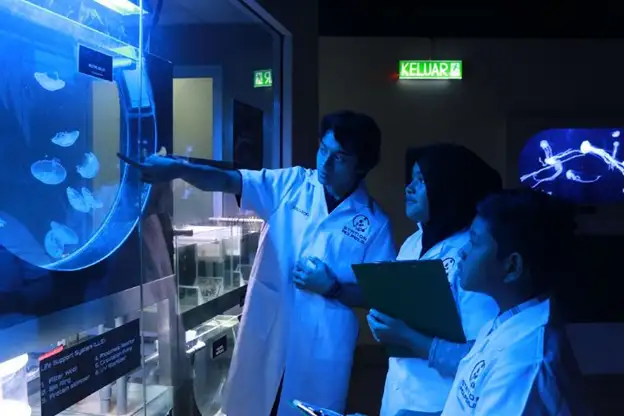 People looking at a jellyfish exhibit