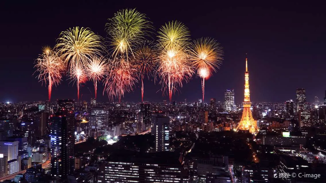 Welcome Suica & JR Line One Day Pass