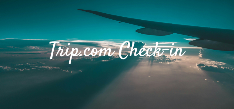 Check-in für Ihren Flug auf Trip.com