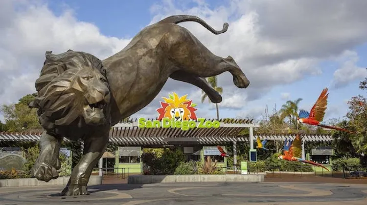 What Time does the San Diego Zoo Open & Close?