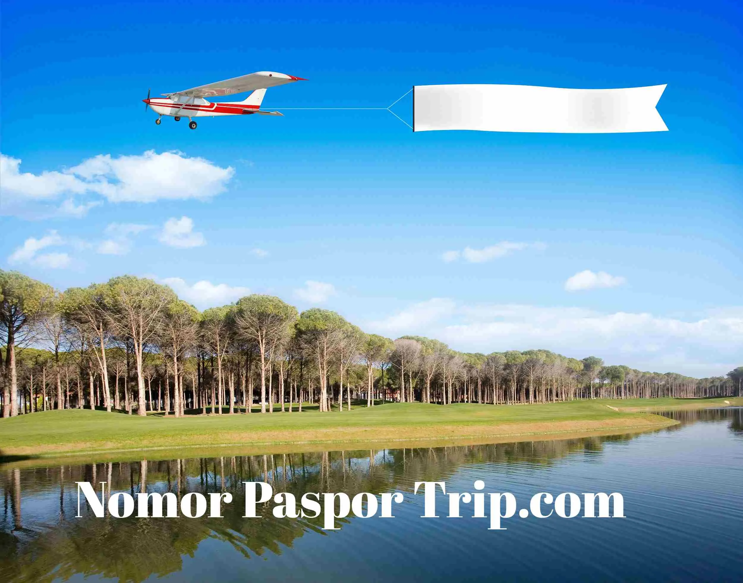 Panduan Perubahan Normor Paspor Trip.com