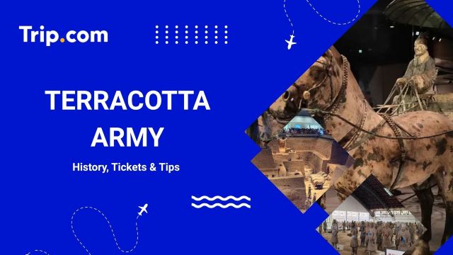 Qin Shi Huang Tomb Tickets & Terracotta Army Guide | Trip.com