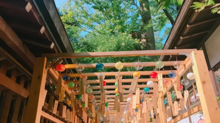 川越旅行はひとり旅こそおもしろい！