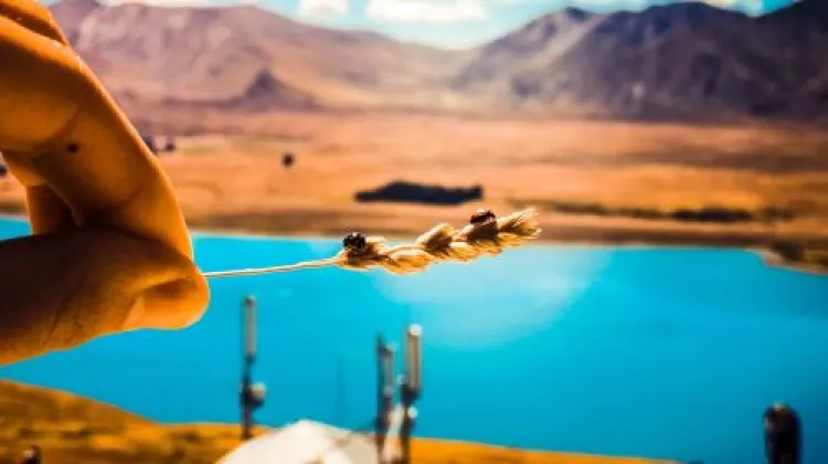 テカポの天気に合わせた服装選び