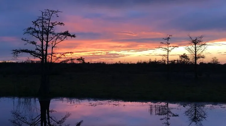 天候が悪くてもオックスフォードは楽しい！